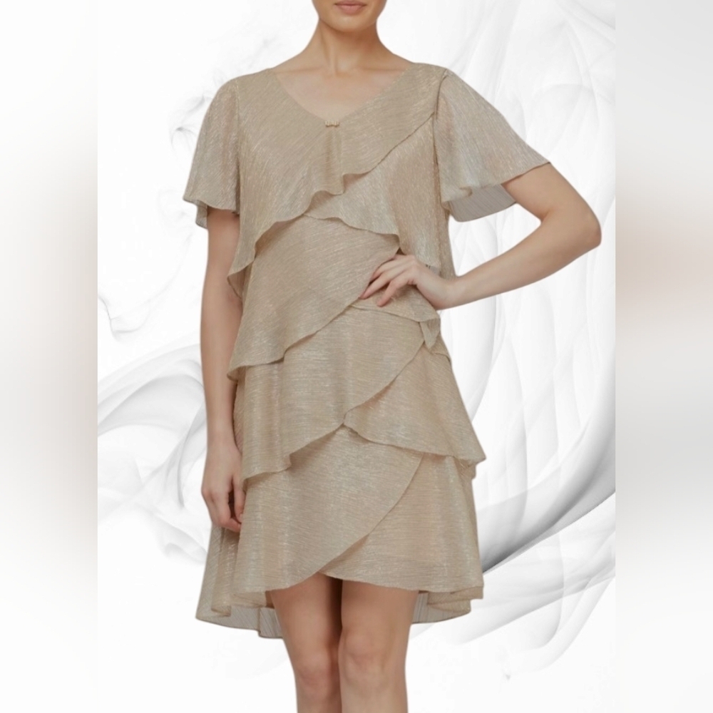 S.L. Fashions NWT Tiered Boudre Dress